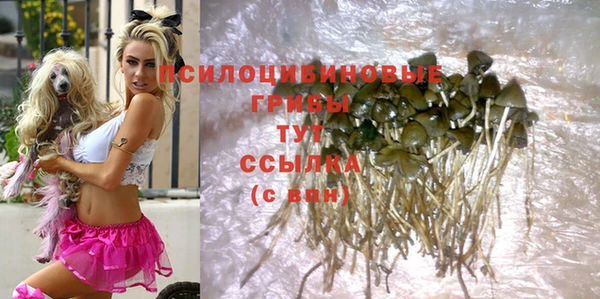 кокаин колумбия Бикин