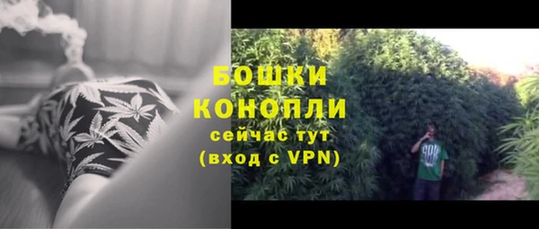 СК Бронницы