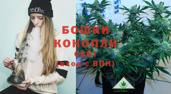 spice Бугульма