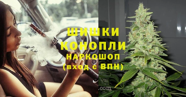 СК Бронницы