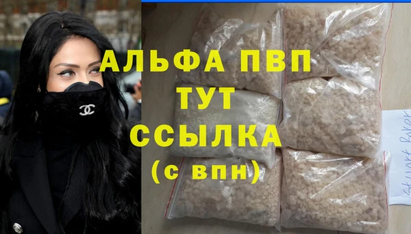 СК Бронницы