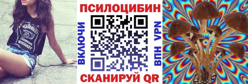 Псилоцибиновые грибы Psilocybine cubensis  Верхоянск 