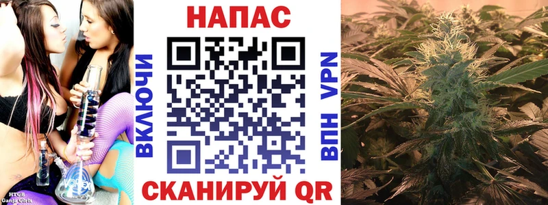 площадка формула Верхоянск Каннабис семена
